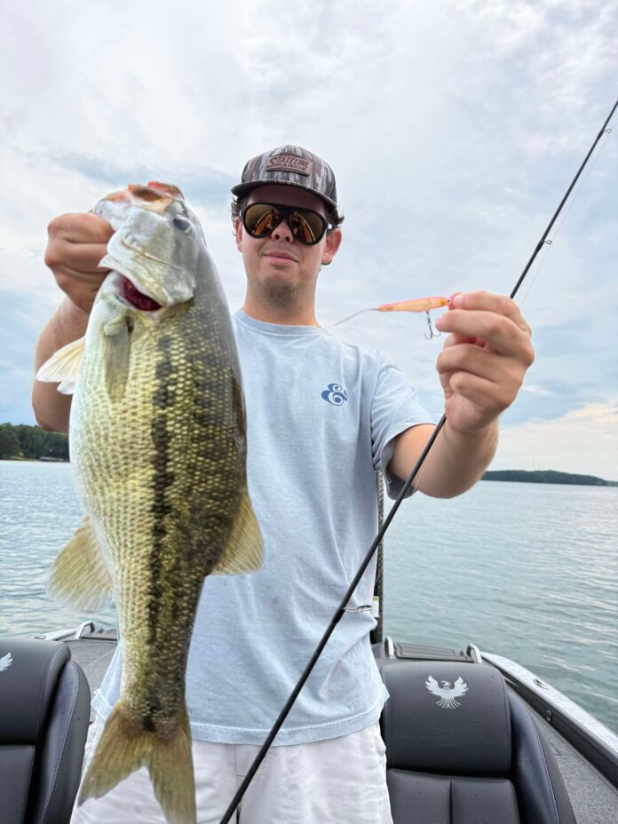 8666b6ee534832431e2e37ebfb1adedc