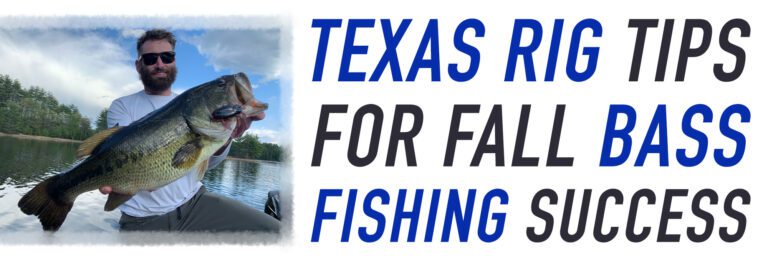 Texas Rig Tips for Fall Bass!