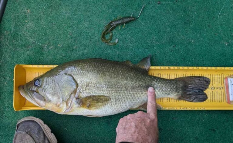 Fishing is the Best Sport:So Why Cheat to Win?