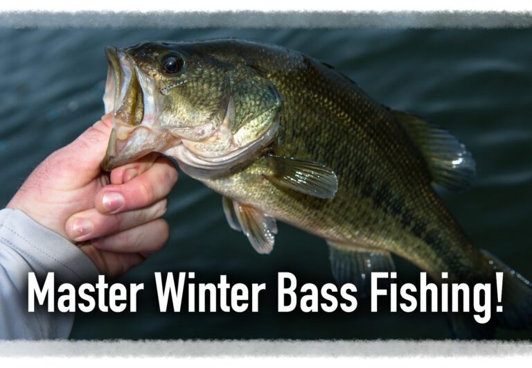 Winter Bass Fishing the Right Way!